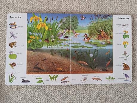 Prvé ilustrované knižky,