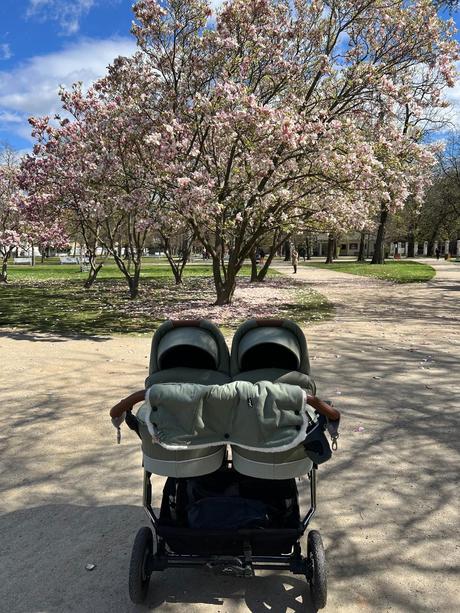 Surodenecky/dvojickovy kocik hartan select two, hartan,hartan two select