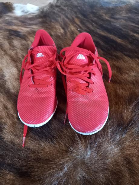 Halova obuv, adidas,36