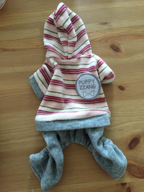 Teplaky pre čivavu, 