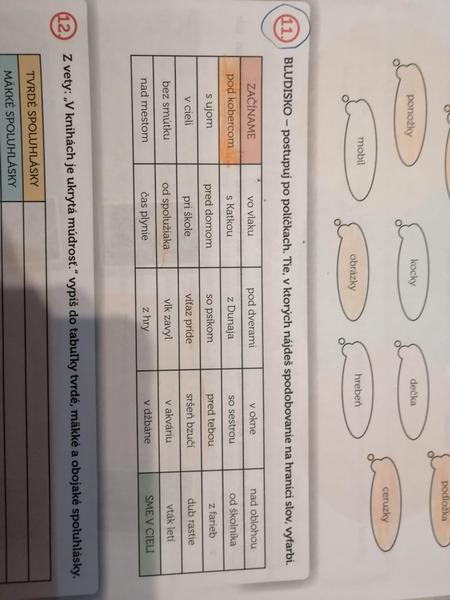 Kto pomôže s úlohou zo slovenského jazyka?