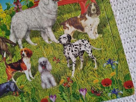 Zvieratá okolo nás,