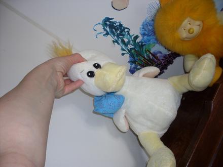 Krásna kačka/kačica, 