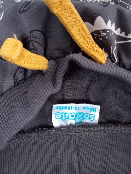 Dinosaury dino tepláková súprava, pepco,86