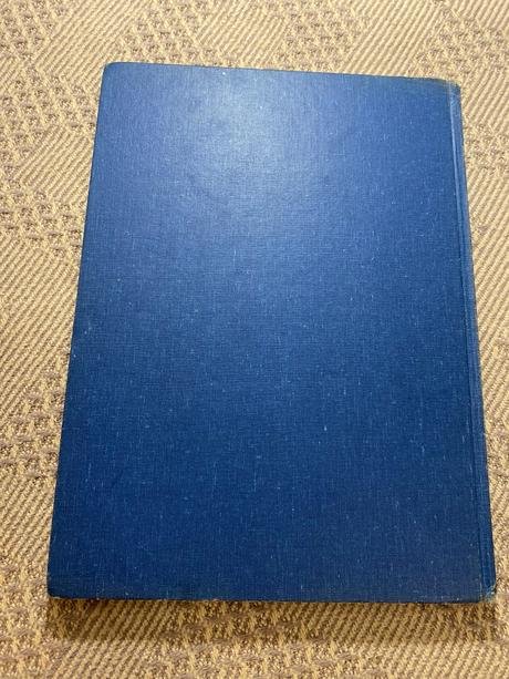 Krásna retro rozprávka ženích pre slečnu myšku, 