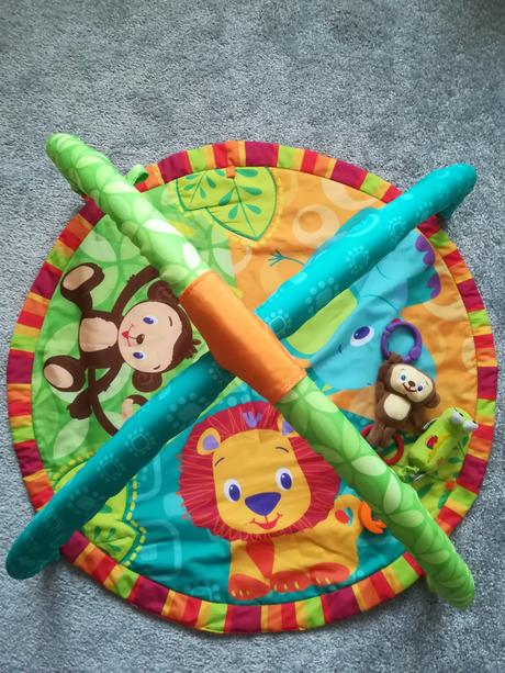 Hrazdička so zvukovou opicou, 