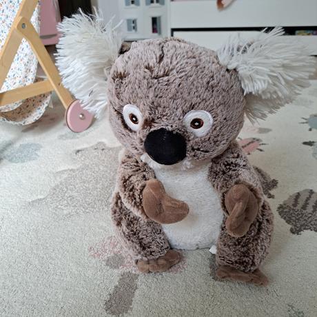 Koala, 