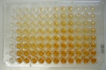 Mikrotitračné doštičky pre ELISA Mikrotitračné doštičky pre ELISA