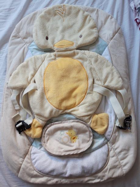 Roztomilé lehátko kačička ingenuity,