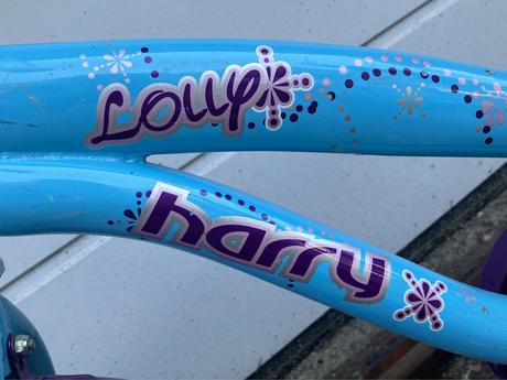 Predám detský bicykel - bledomodrý, harry,16