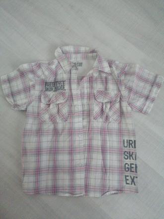 Kosela letna lahka, 122