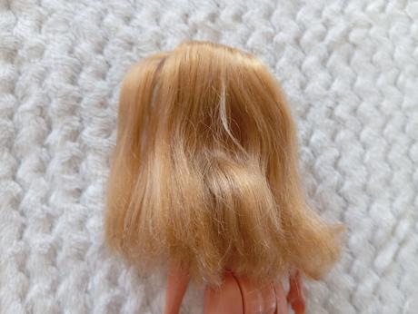 Barbie skipper raritná bábika,