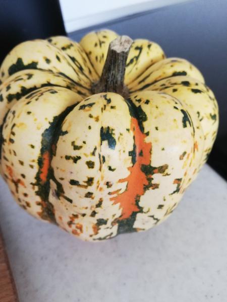 Je to ozdobná nejedlá tekvica alebo Sweet dumpling?