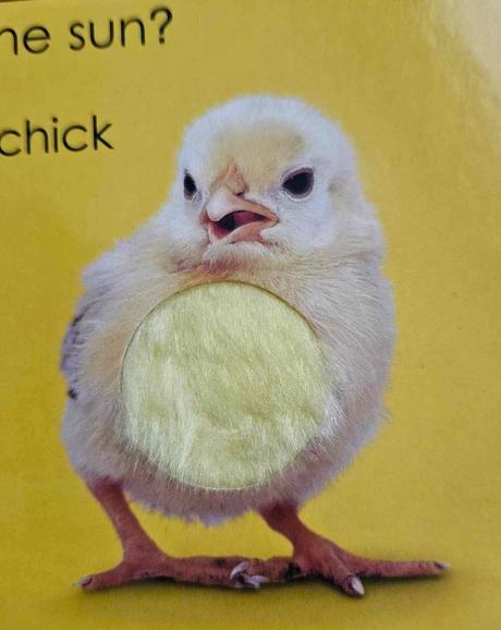 Detska knizka - play learn- touch and feel colors, 