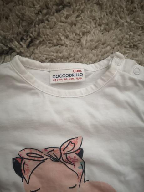 Supravicka cocoodrillo, coccodrillo,74