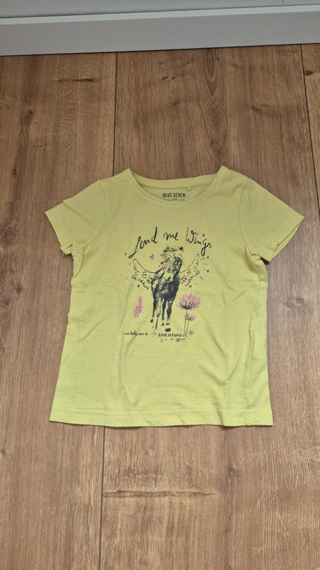 Tricko s konikom, 104