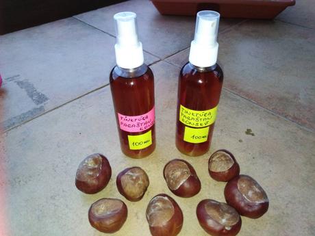 Tinktúra s pagaštanu konského,na cievy,klby,chrbti, 