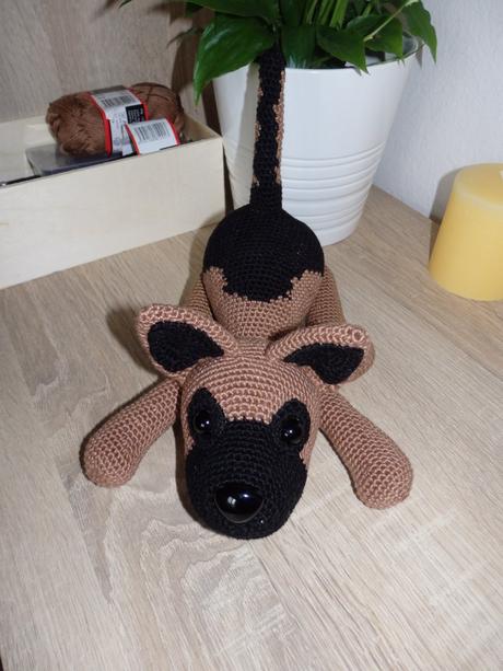 Hackovany psik vlciak,