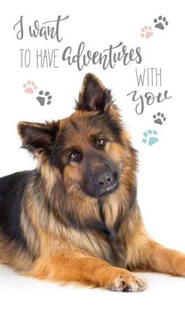 Detský uterák nemecký ovčiak 50/30,