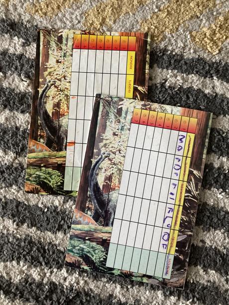 Zošity dino precvičovanie ruky/písanie, 