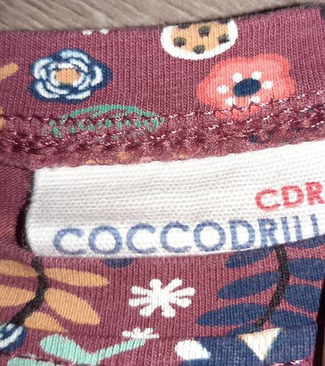 Zara, coccodrillo, tinki, obaibi, olioli, 62-74, 50–62