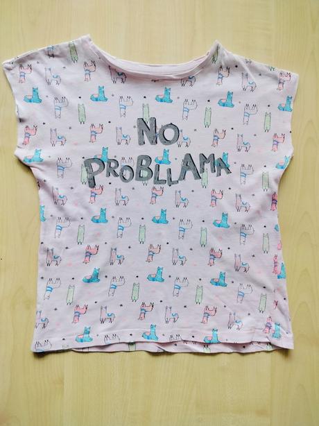Tričko lama, 110