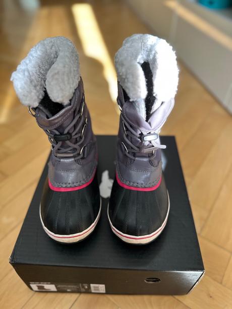 Snehule sorel, sorel,34