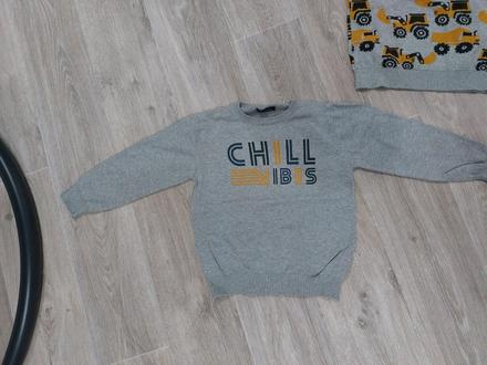 Svetrík svetlosedy, 110