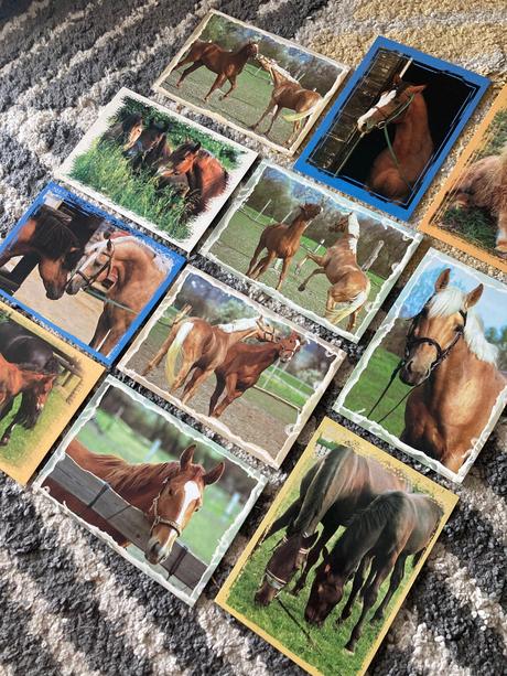 Pohľadnice koní nepopísané 11ks,