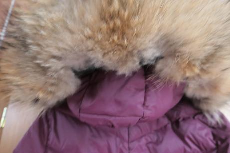 Karl lagerfeld luxusny vetrovkovy kabat l, l