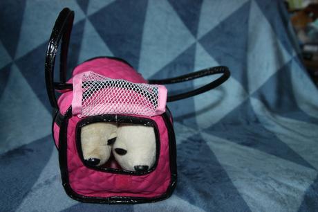 2x chichi psík a taška, 