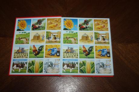 Dein buntes wörterbuch 5 ks, 