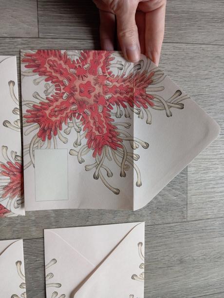 Gratulačné obálky narodeniny svadba,