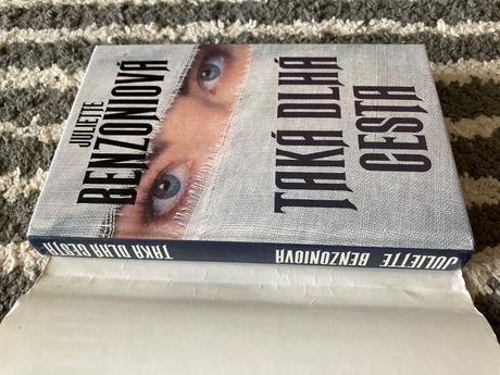 Taká dlhá cesta (1995), 