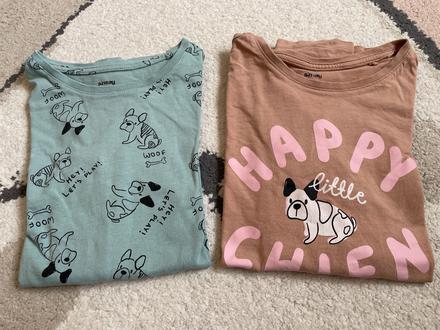 Natelniky dog, sinsay,140