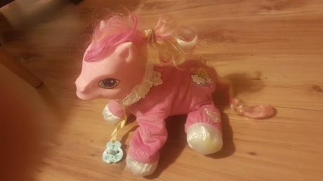 Koník/poník velký, 