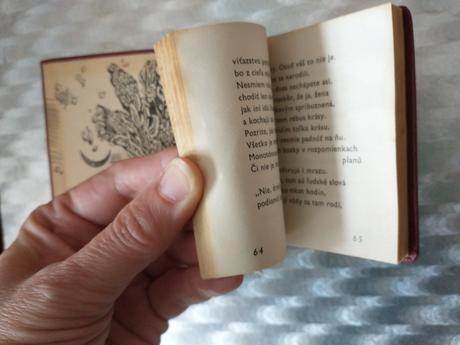 Ján smrek básnikova žena,