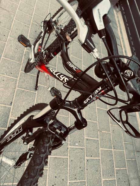 Kellys 24, kellys,24