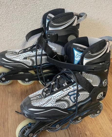 Fila korčule panske, fila,43