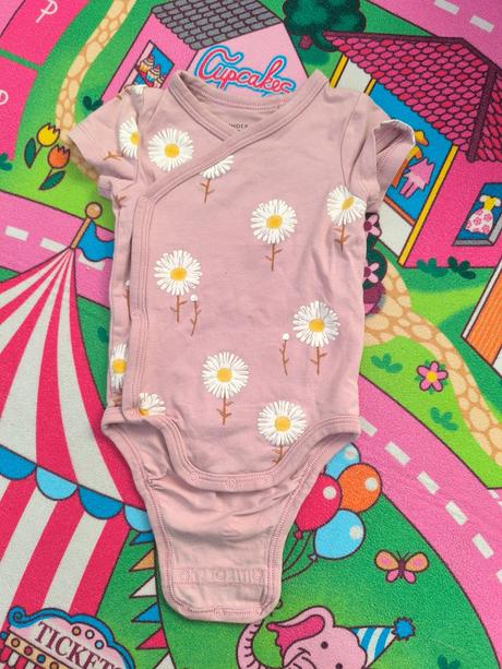 Rastúce zavinovacie body margarétky, lindex,56