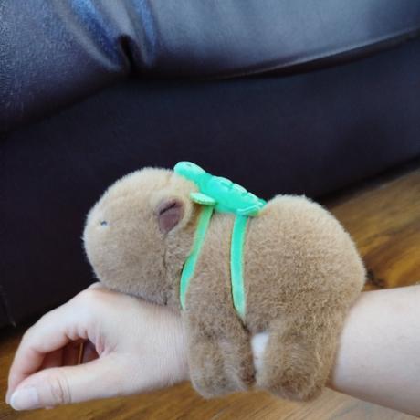 Capybara 2ks,
