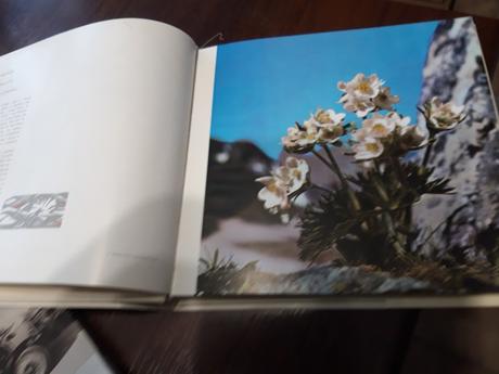 Knihy o umení-maliarskom a iné, 