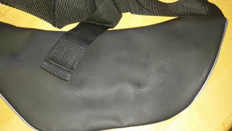 Ľadvinka meniaca farby,