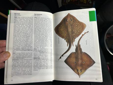 Kniha morské ryby, 