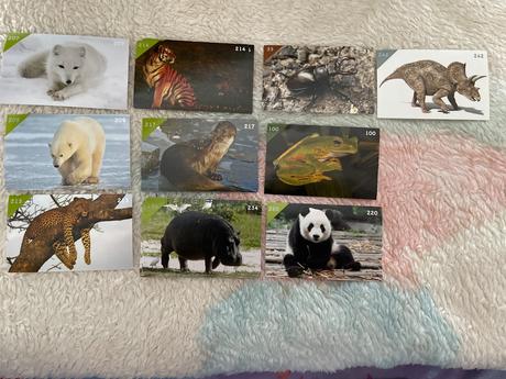 Nálepky animal kingdom new, 