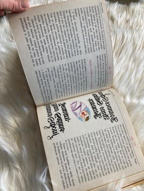 Aká bola dávna škola bibiana wallnerová (1979), 