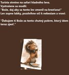 Vtipy na tému zvieratká