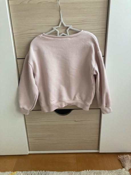 Mikina zara s 3dkvetmi, zara,110