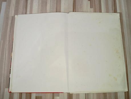 Božena mačingová - danuška,