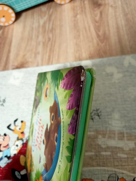 Hudobná detská kniha, 